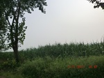 32820CIMG1952.JPG