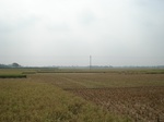 21869DSC08460.JPG