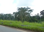 25618P1020032.JPG