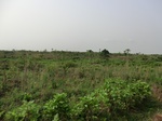 50428CIMG1057.JPG