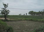 34451IMG_5434.JPG