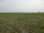 51624CIMG0347.JPG
