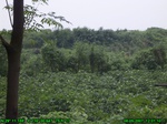 1134R0015324_tag.jpg