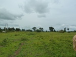 18579P1000416.JPG