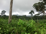 45567CIMG2652.JPG