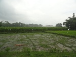 22026DSC00144.JPG