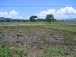 33583RIMG0248.JPG