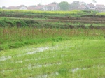 51664CIMG0479.JPG