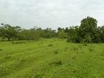 18391P1000227.JPG