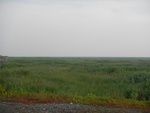 54299DSCN1572.JPG