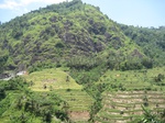 15814IMG_4347.JPG