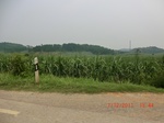 33006CIMG2164.JPG