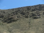 37823CIMG1630.JPG
