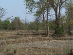 479601052008(7).JPG