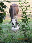 30023IMG_5368.jpg