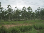 34445IMG_5428.JPG