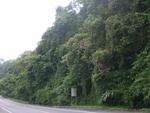 33703RIMG0321.JPG