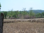 1729020042008(72).JPG
