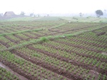 13444IMG_3825.JPG