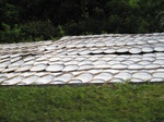 16281IMG_5054.JPG