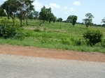 19536P1010383.JPG