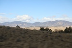 2022-10-31_17-17-19_F920C8D4-A3F1-4D06-B8B9-88442A29B26E.jpeg