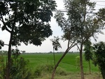 31609CIMG1475.JPG