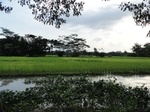 24586DSC00805.JPG