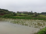 51643CIMG0410.JPG