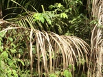 46946CIMG3283.JPG