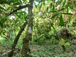46552CIMG0841.JPG