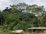 49582CIMG5919.JPG