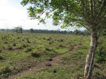 31974IMG_5622.JPG