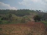 28311IMG_5122.JPG