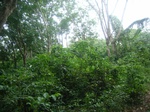 3705RIMG0008.JPG