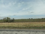 35873DSC02641.JPG