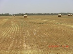 29947CIMG0435.JPG
