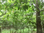 48722CIMG5059.JPG