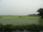 22096DSC00337.JPG