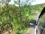 31469CIMG1333.JPG