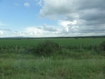 24829DSC00998.JPG
