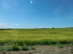 29999CIMG0700.JPG