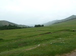 23853P1040941.JPG