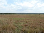 39275P1080079.JPG