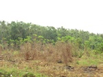 50680CIMG1309.JPG