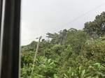 49801CIMG6138.JPG
