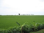 15775IMG_4864.JPG