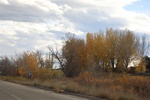 2022-11-02_16-30-59_497A0D04-CFAA-4B92-B6EE-6CADAB7F4788.jpeg