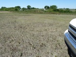 29255CHEY20110505W.JPG