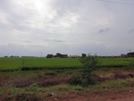 55892CIMG6589.JPG